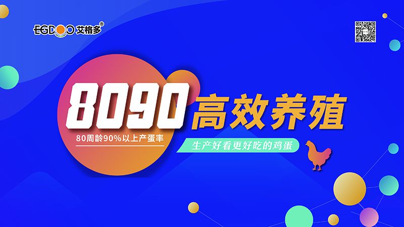 四會連開，艾格多8090高 效養(yǎng)殖700天唐山區(qū)域線下交流會成功舉辦