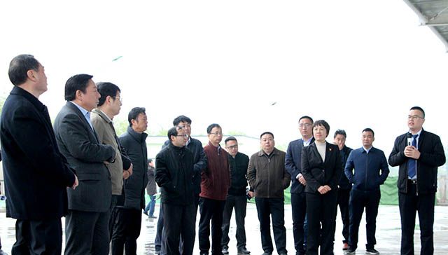 鶴壁市委常委、常務副市長等領導來岐伯基地視察并指導工作