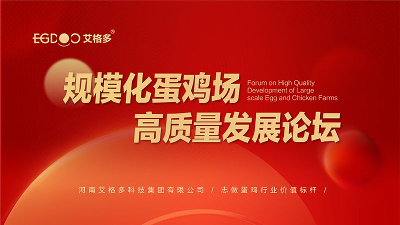 艾格多集團(tuán)-規(guī)?；半u場(chǎng)高質(zhì)量發(fā)展論壇圓 滿成功