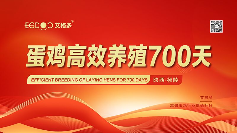 “艾格多蛋雞高 效養(yǎng)殖700天-楊陵站”圓 滿(mǎn)落幕